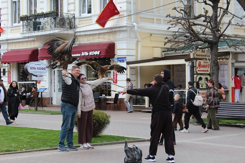 В Железноводске запретили платные фото с хищными птицами в курортной зоне