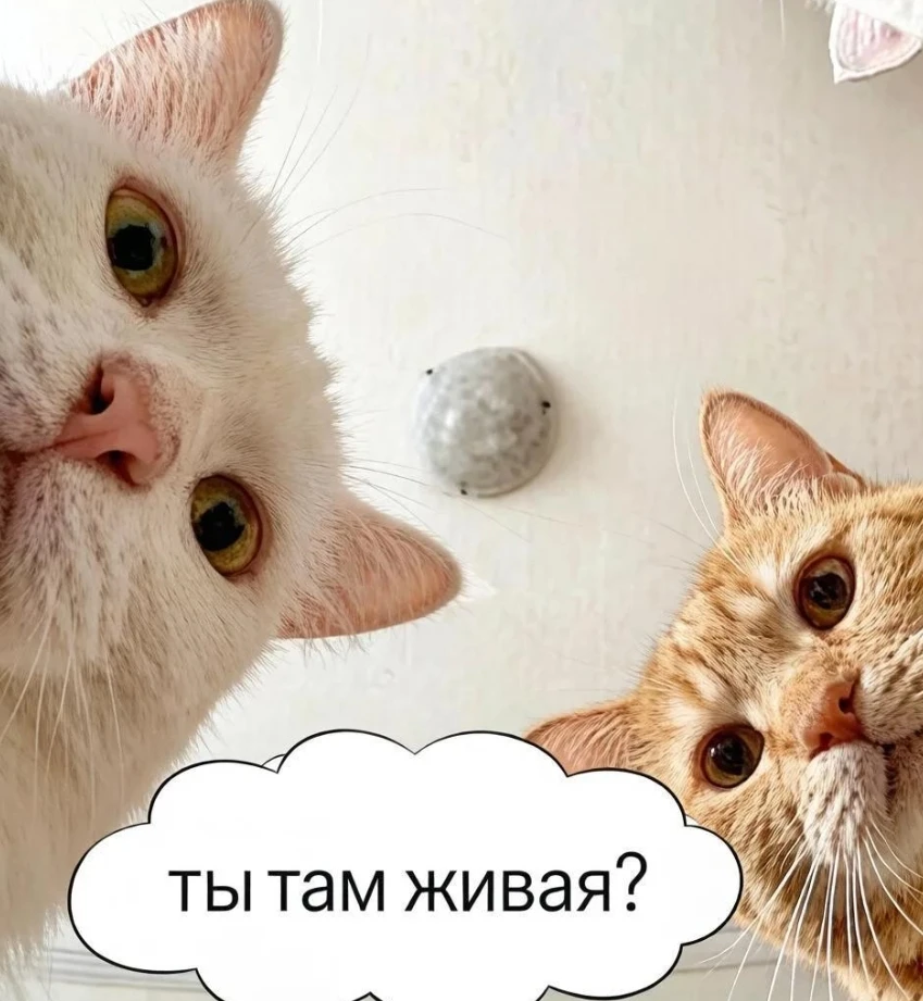 «Я вообще-то жива». Жительница Ярославля смогла добиться, чтобы ее признали живой.