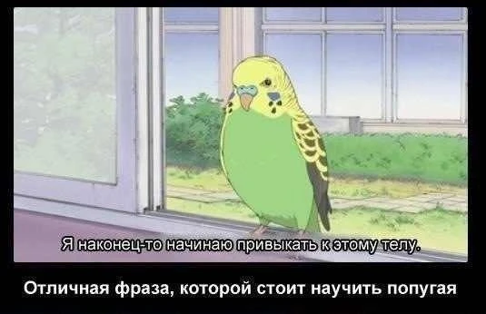 Мемы каждый день • Подписаться