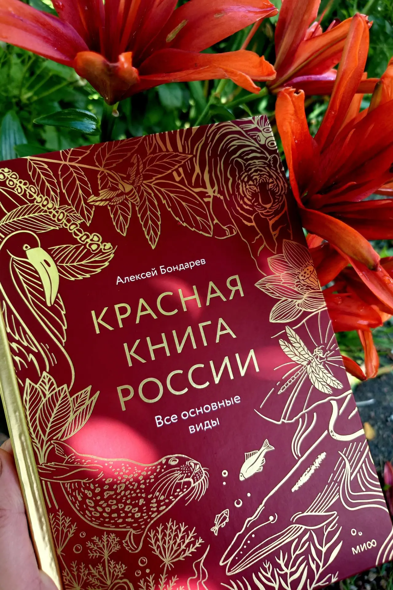 Юным натуралистам, воспитателям, педагогам и всем неравнодушным.
