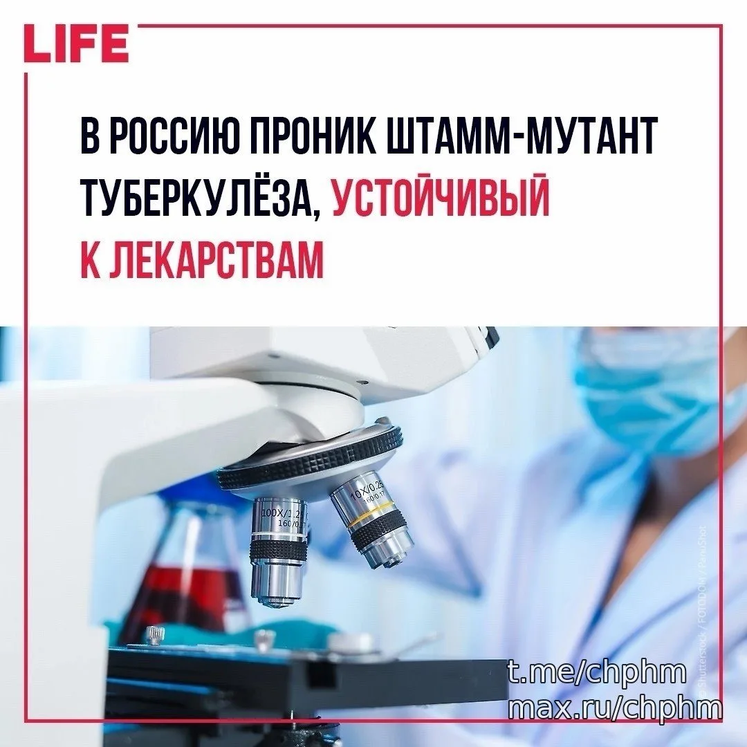 В России нашли устойчивую к антибиотикам линию туберкулёза 🚨