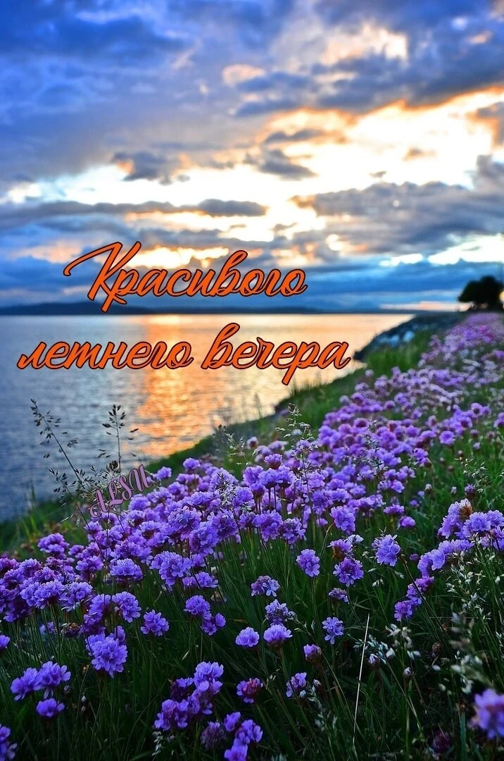 ✨#добрый_вечер

Красивые открытки 💌
⠀в Max | в Теlegram