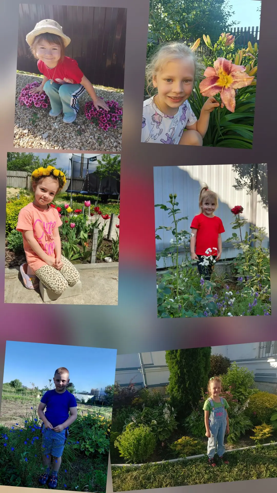 Фото
