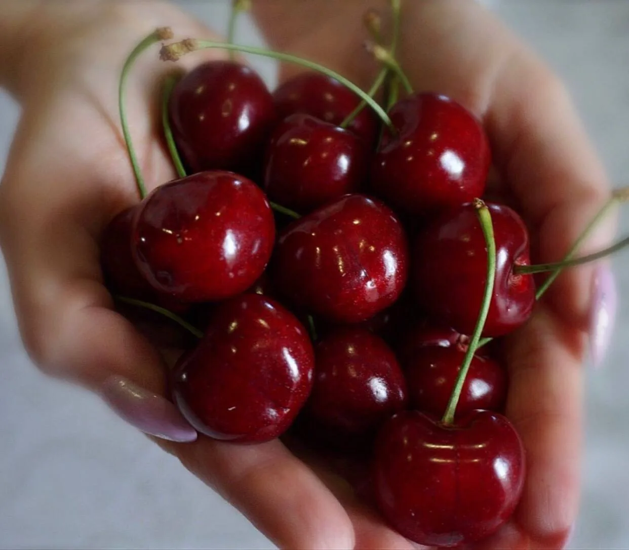 🍒Черешня азербайджанская!!!