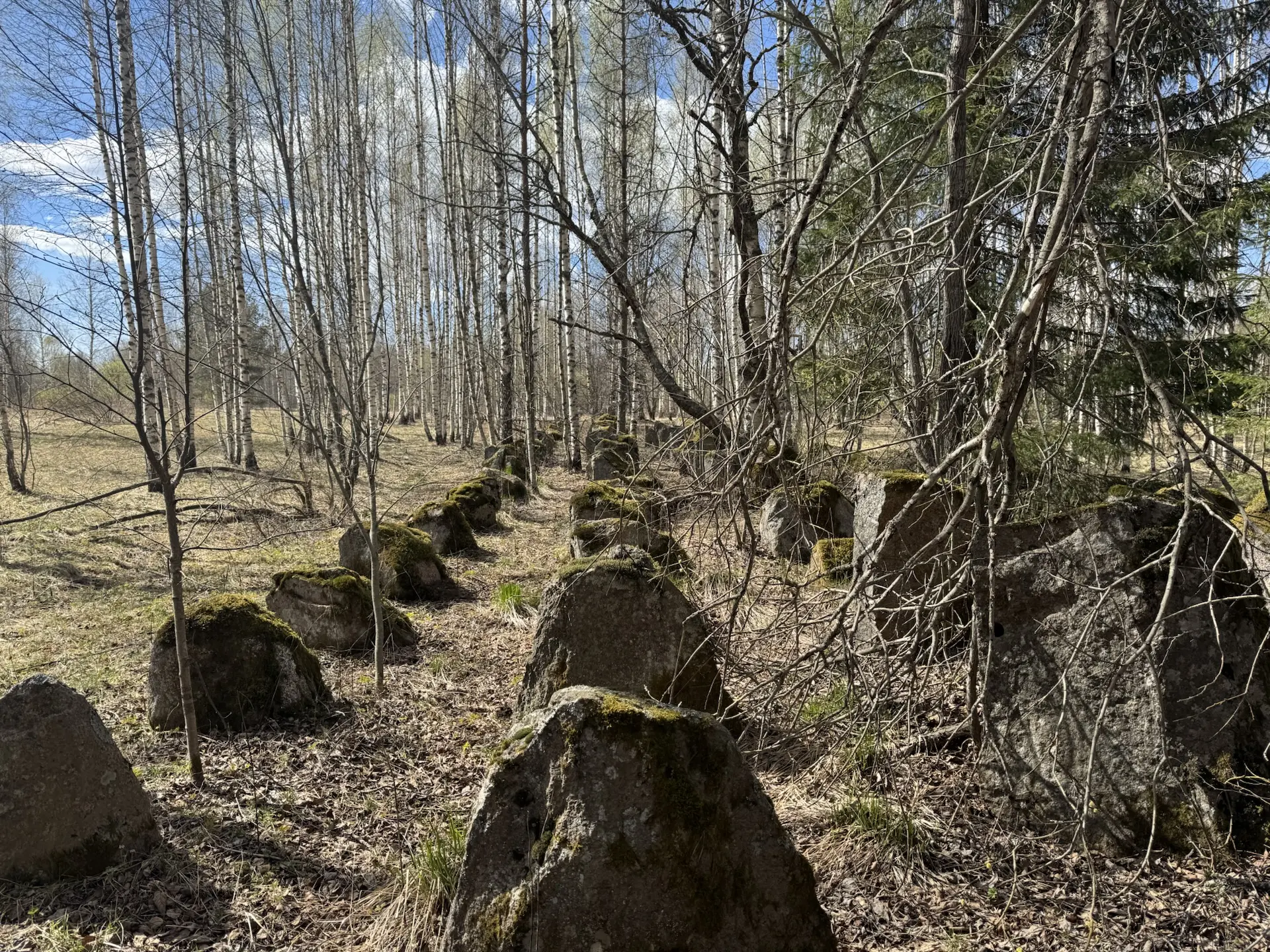 Сегодня экскурсия для Лены, Оли и Гриши. Ребята приезжают к нам уже не первый год. Поэт...