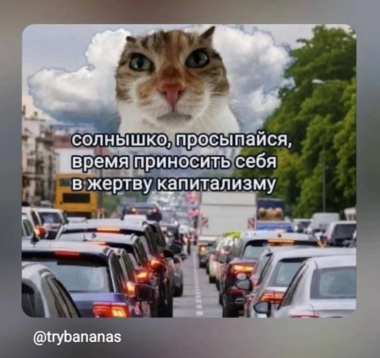 Самое время любимой рубрики - пси-мемы 💯