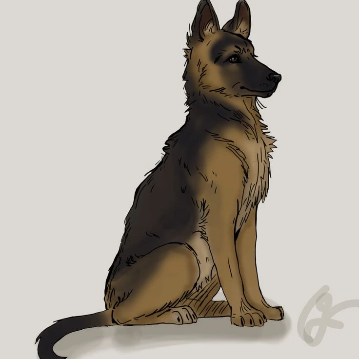 Рисуем НЕМЕЦКУЮ ОВЧАРКУ🐶