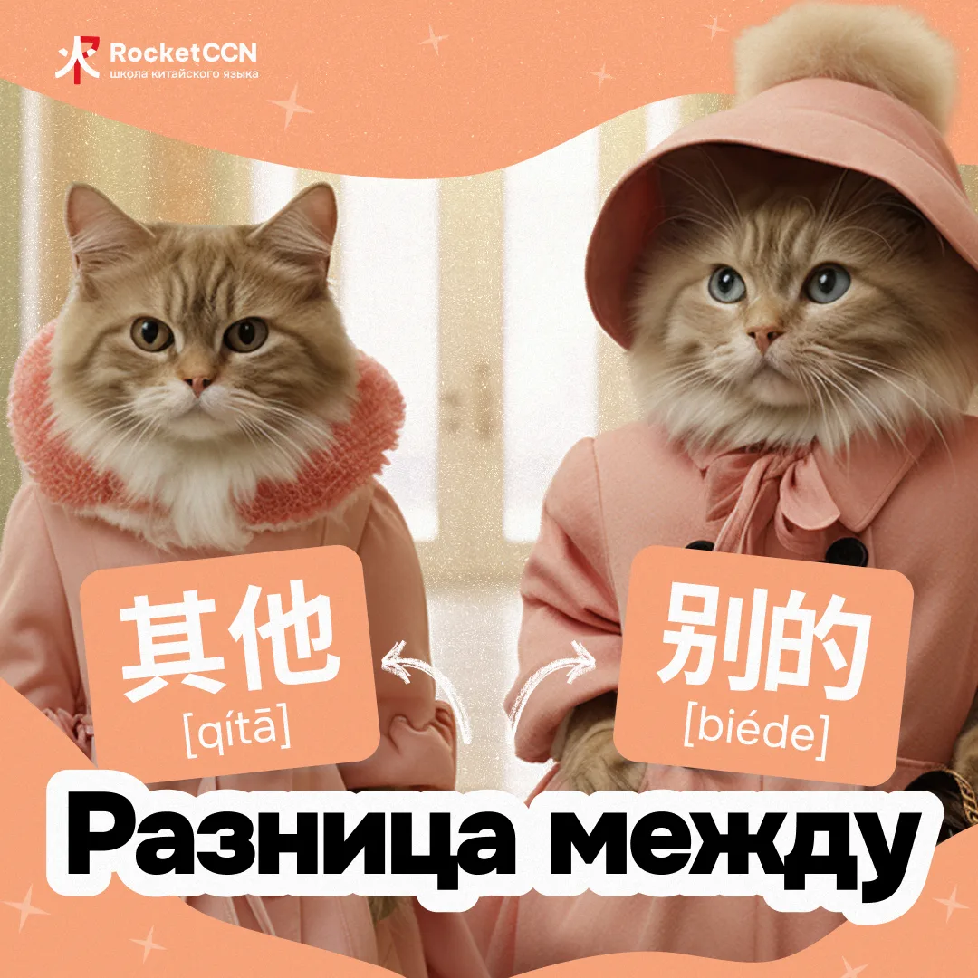 📚Разница 其他 vs 别的 в китайском языке