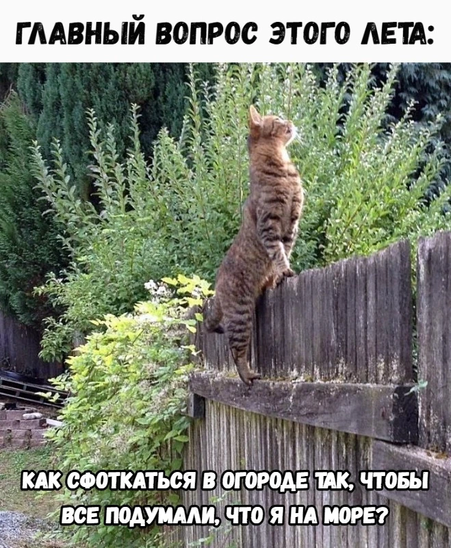Подпишись на юмор 😂