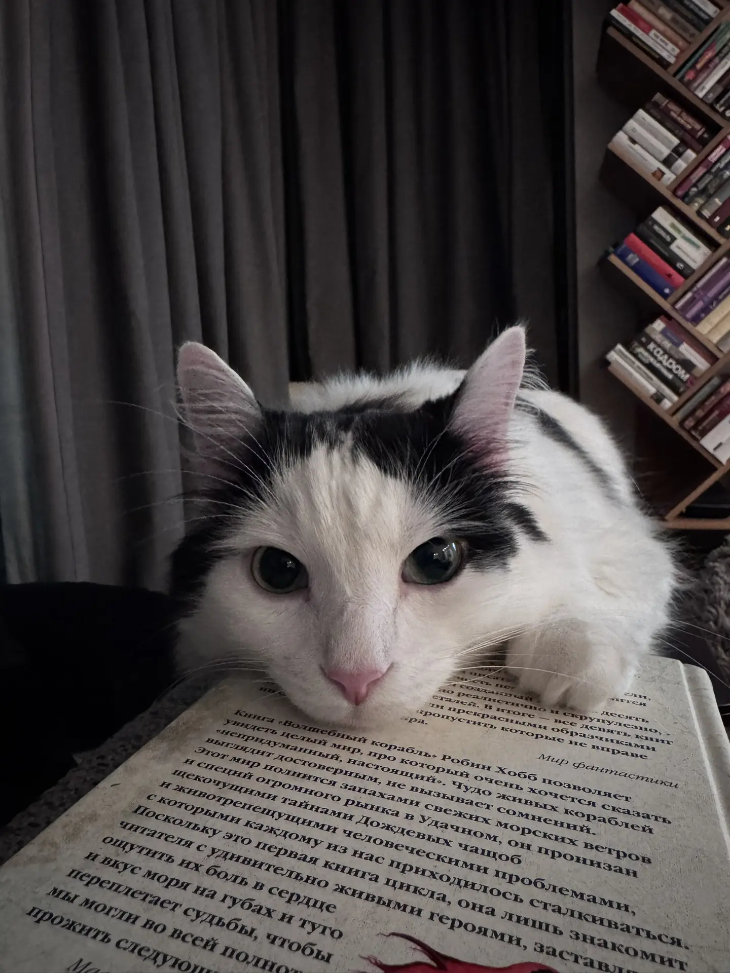 А это Марвел злится на книгу