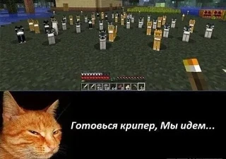 🤣