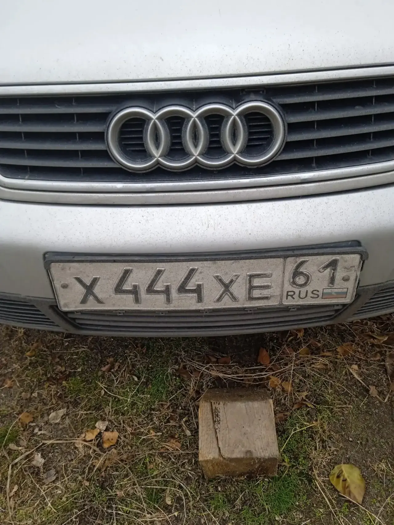 📲+79081717171