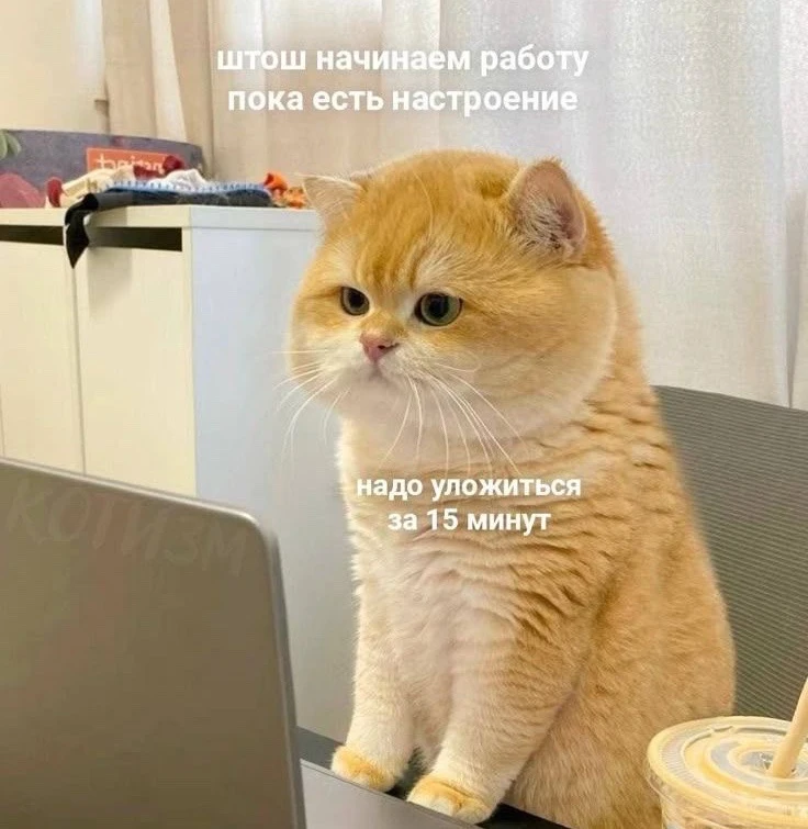 Впихнуть невпихуемое!