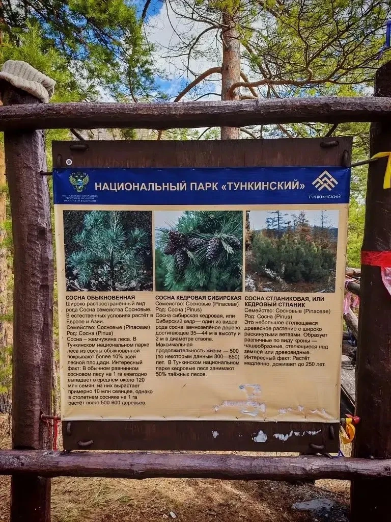🏔✨ УВЛЕКАТЕЛЬНОЕ ПУТЕШЕСТВИЕ 5Г КЛАССА! ✨🏔  Эти выходные для учеников 5Г класса стали настоящим прик