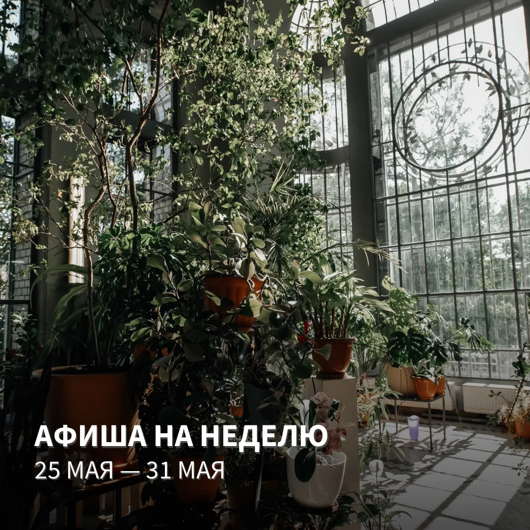📅 РАСПИСАНИЕ МЕРОПРИЯТИЙ НА НЕДЕЛЮ 25 мая — 31 мая