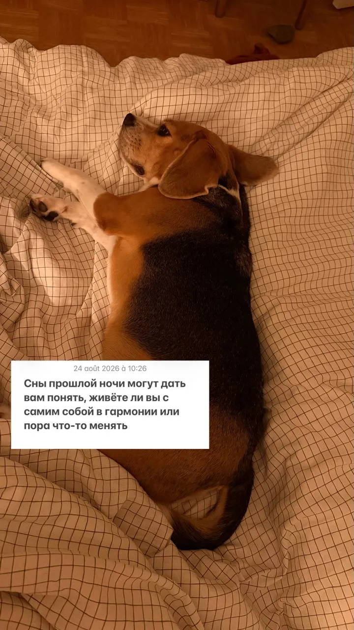 узнать, о чем сон