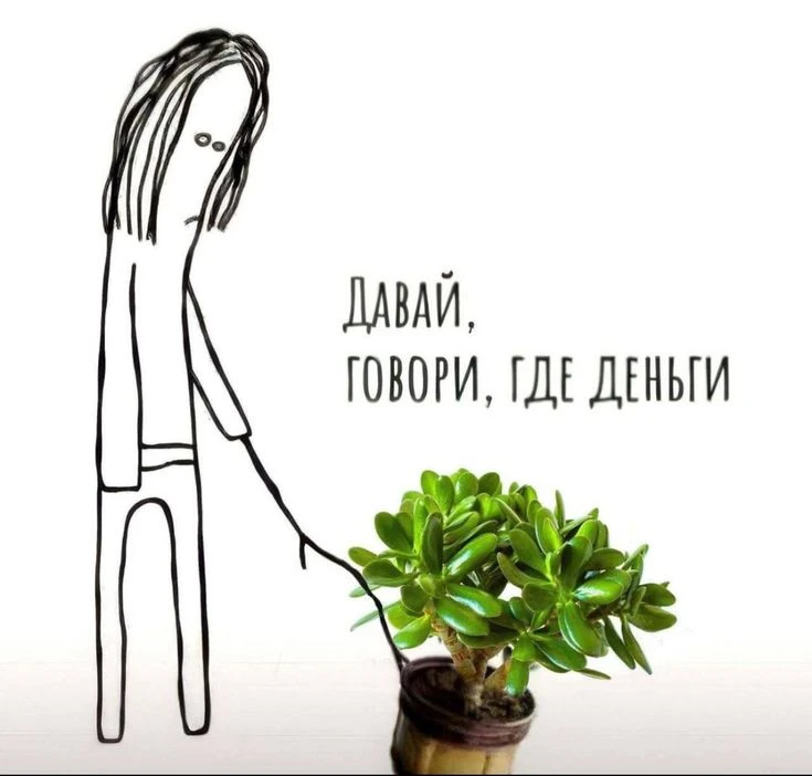 Смотрю на толстянку. Жду денег. Пока она инвестирует исключительно в новые листья 😂