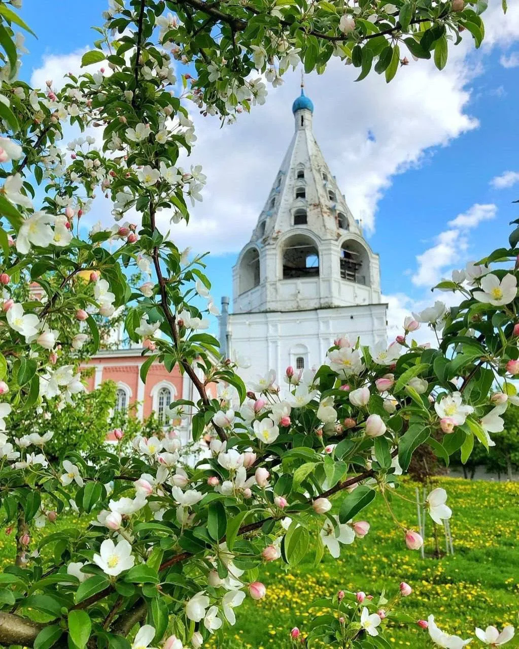 Весеннее настроение в Коломне (Московская область)  ✈ Подписывайтесь на Дневник путешественника МАХ 