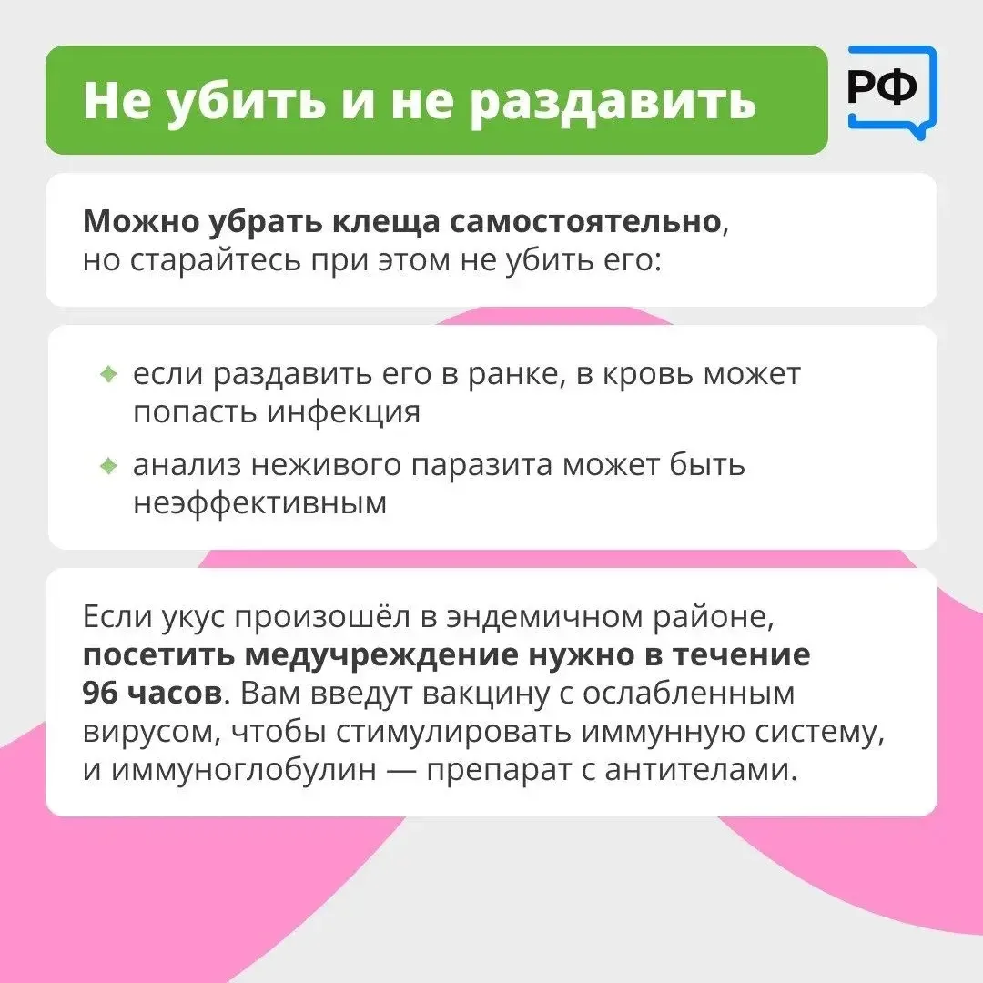 ❗️Клещ - не просто укус! 📅  С ним можно подхватить опасные болезни: боррелиоз (поражает кожу, сердце