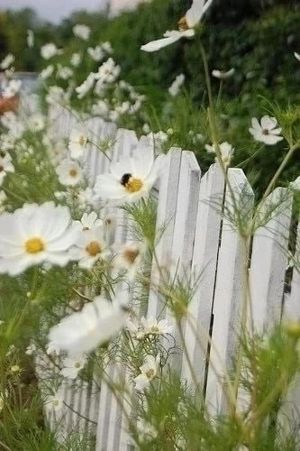 ...🌿 Если ты чем-то расстроена, значит, ты живешь в прошлом.