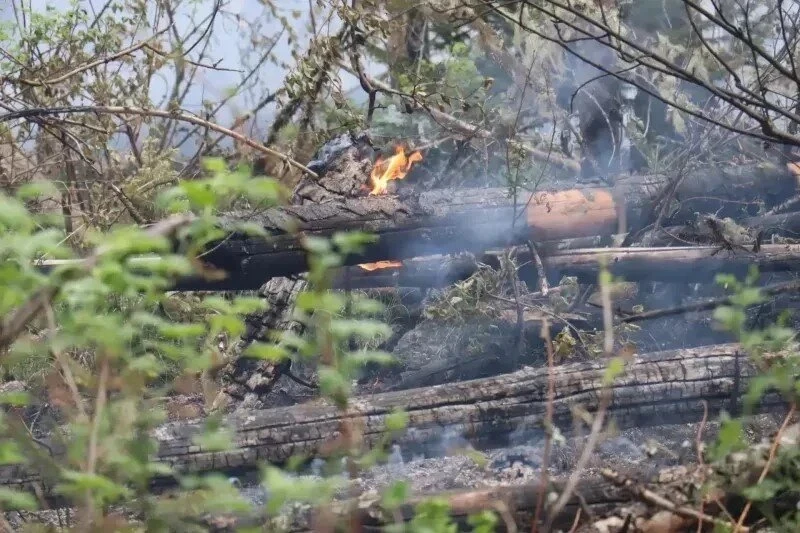 Лесные пожары в Красноярском крае охватили более 83 тысяч гектаров

В Красноярском крае продолжает у