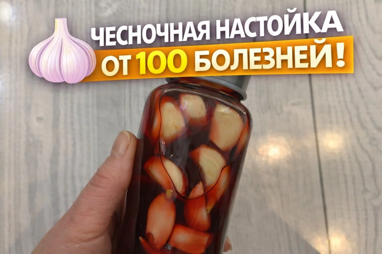 Чесночное вино очищает стенки кровеносных сосудов 🧄