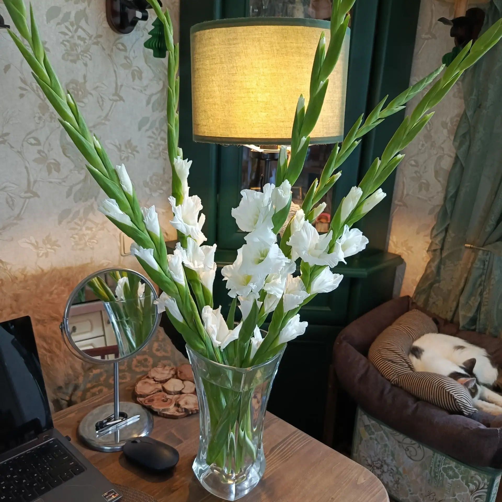 Потому что гладиолусы 🤗