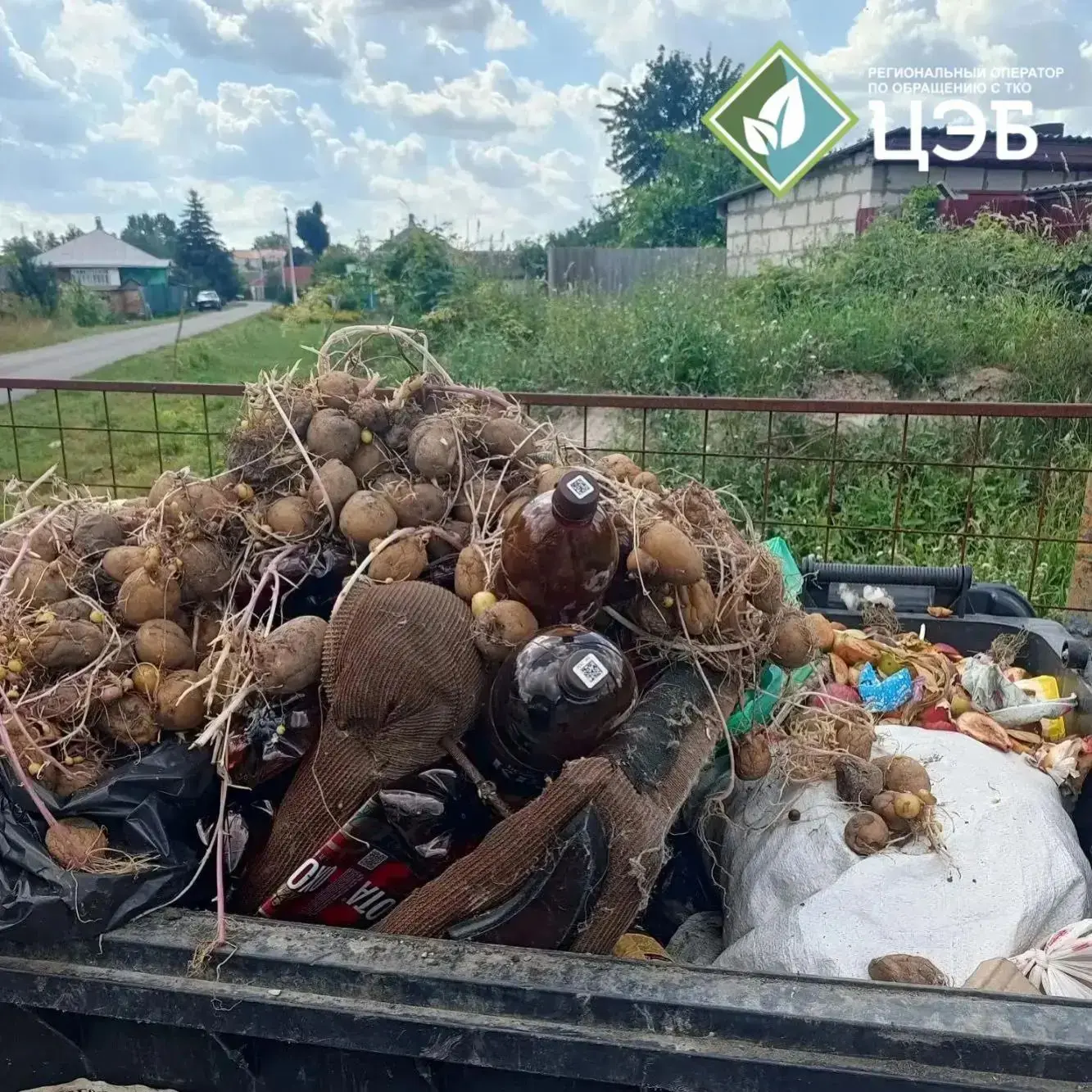 🥔 Растительные отходы — не ТКО: что нельзя выбрасывать в мусорные контейнеры