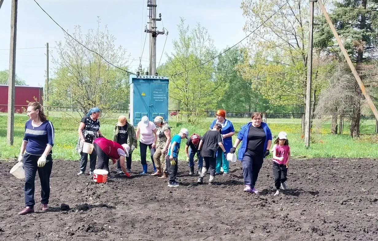🌱В нашей школе началась волна весенних работ на пришкольном участке. После основных ур...