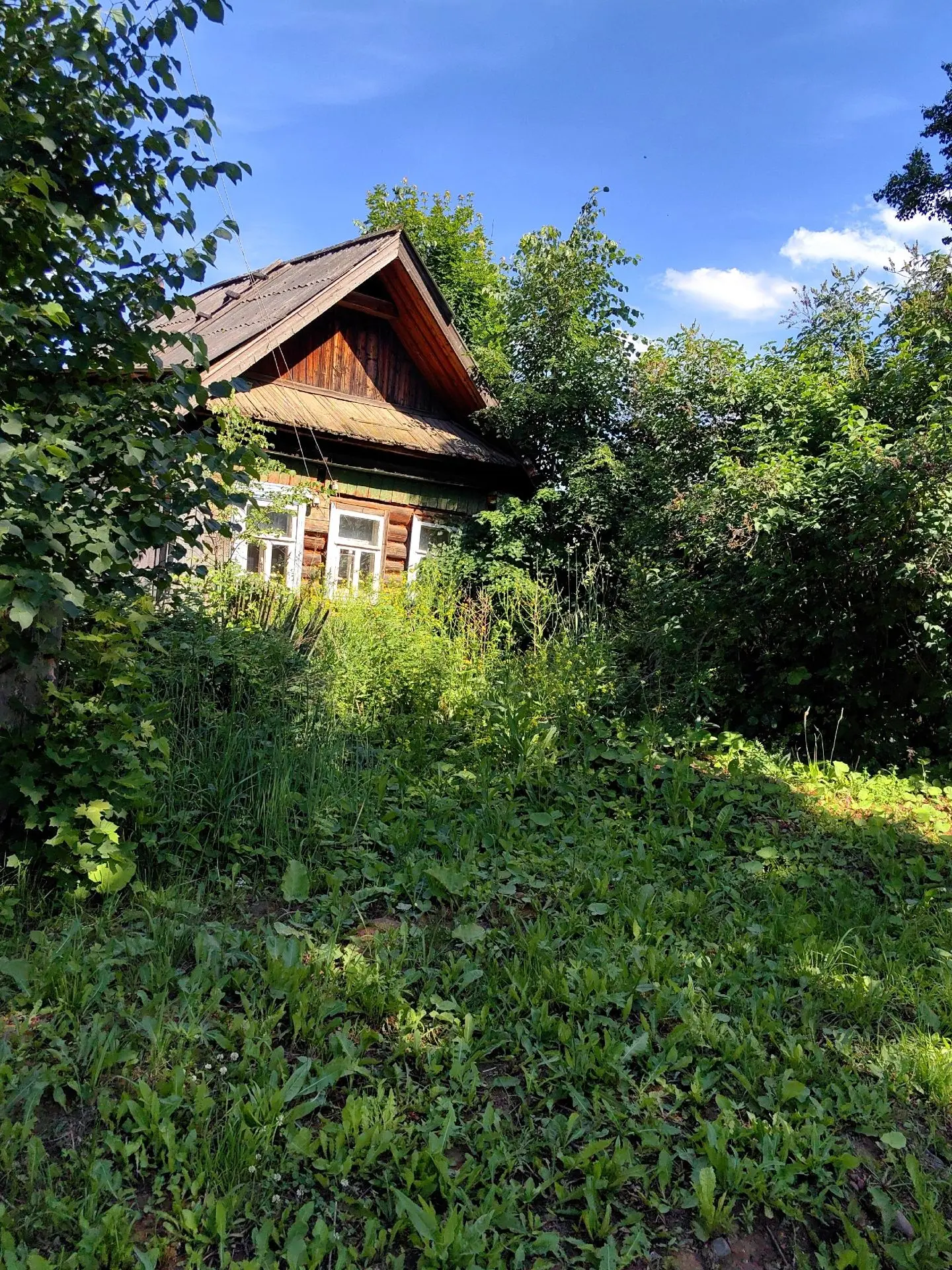 Дом утопает в зелени
