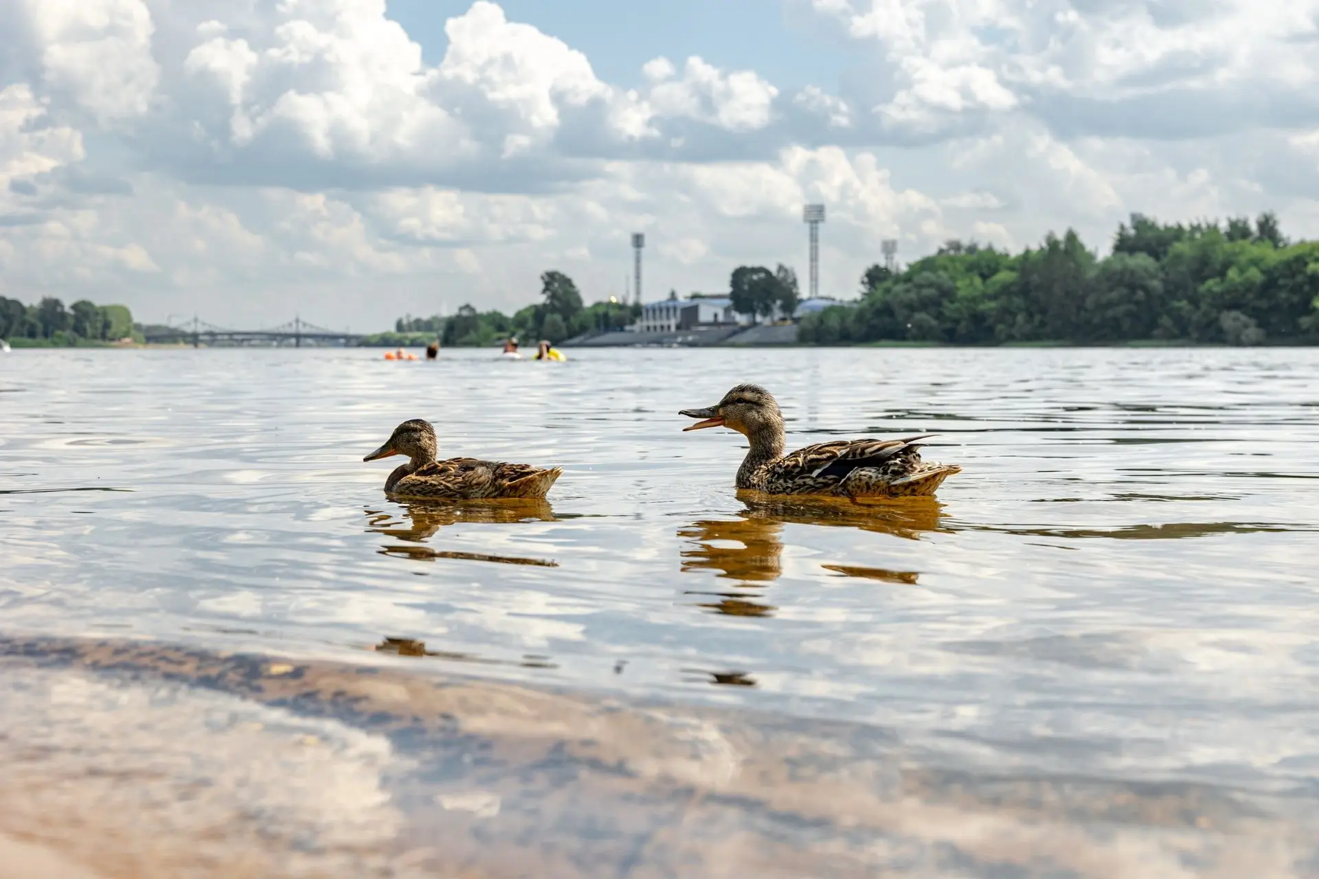 Тверь с разных ракурсов🥰

Фото: Виталий Шустров

#тверскойсобытийник