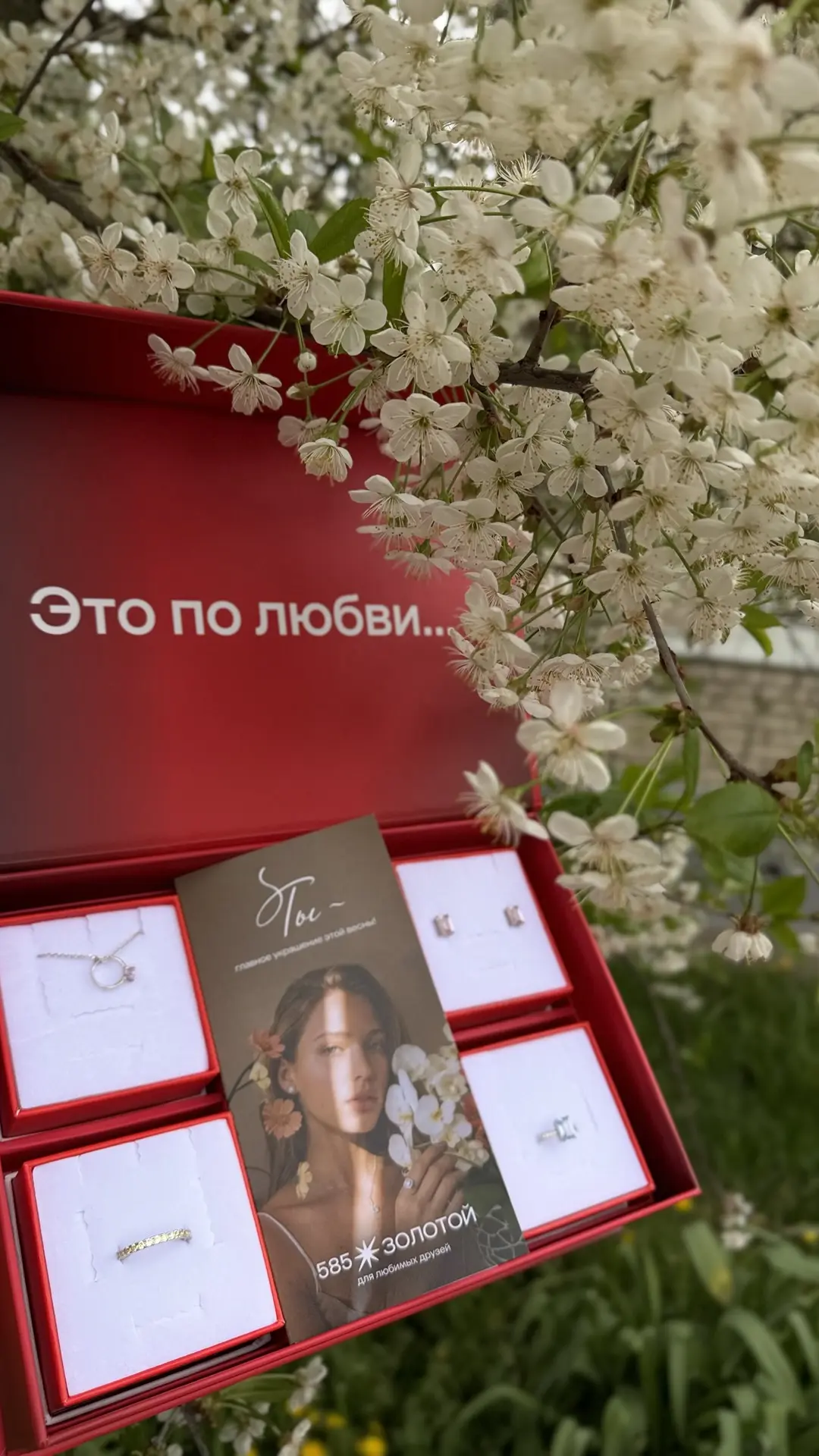 Изображение 1 к публикации «Многодетная жизнь»