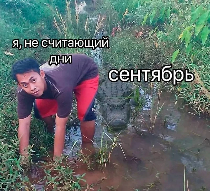 Мемы в MAX