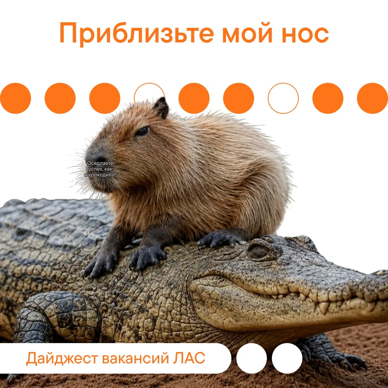 🔍Приблизили? Ну всё, вы обречены на успех!