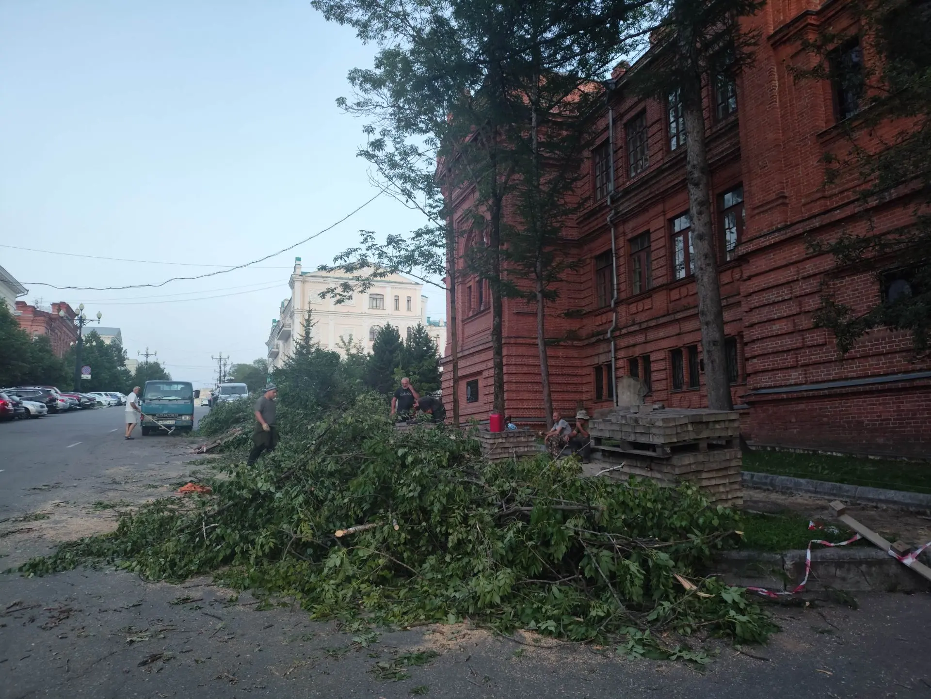 Деревья около музея Н. И. Гродекова спилили.