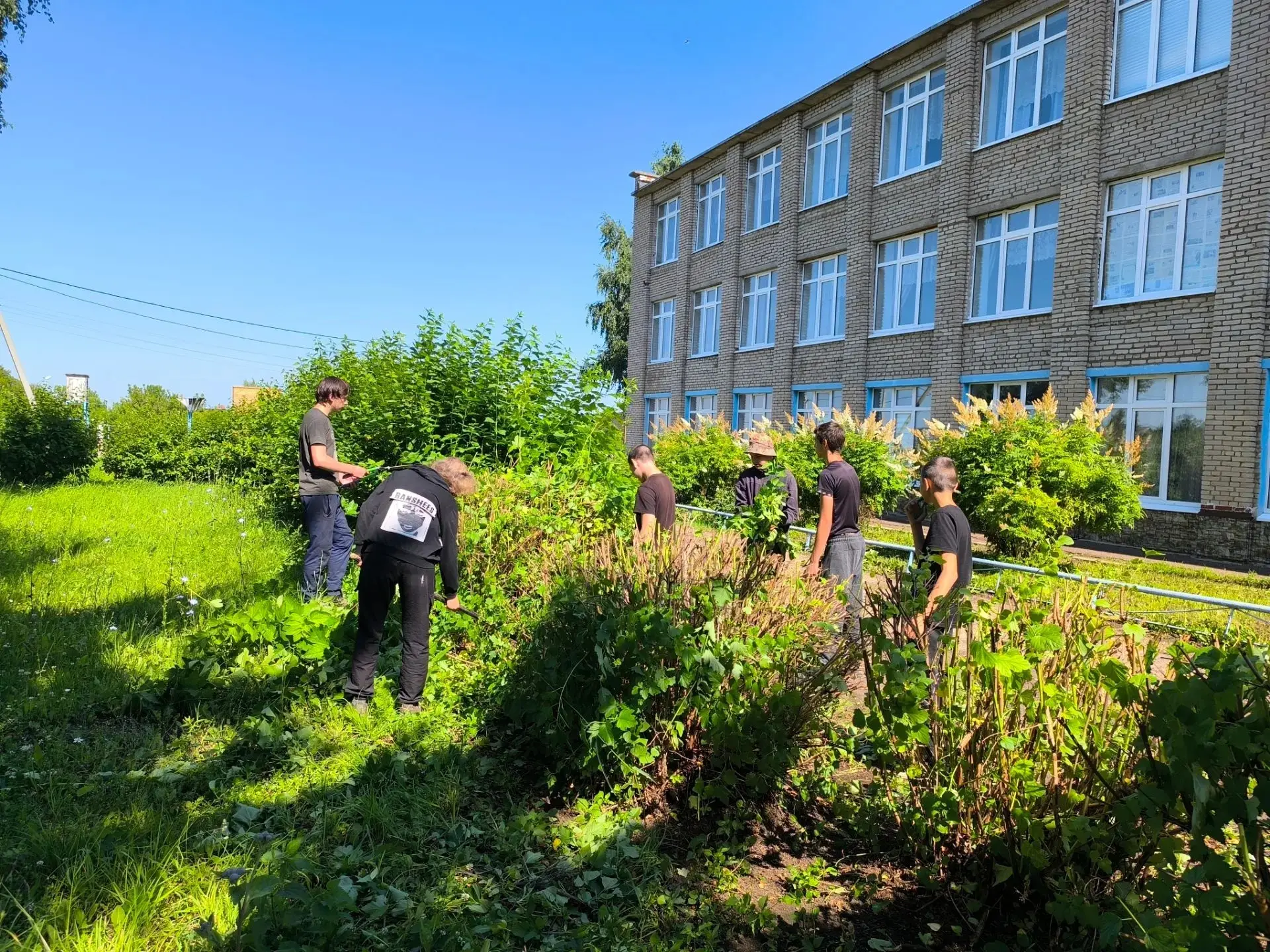 ТОШ справился с самой трудоёмкой задачей: стрижка кустарников🌿

Наши ТОШевцы выполнили одну из самы