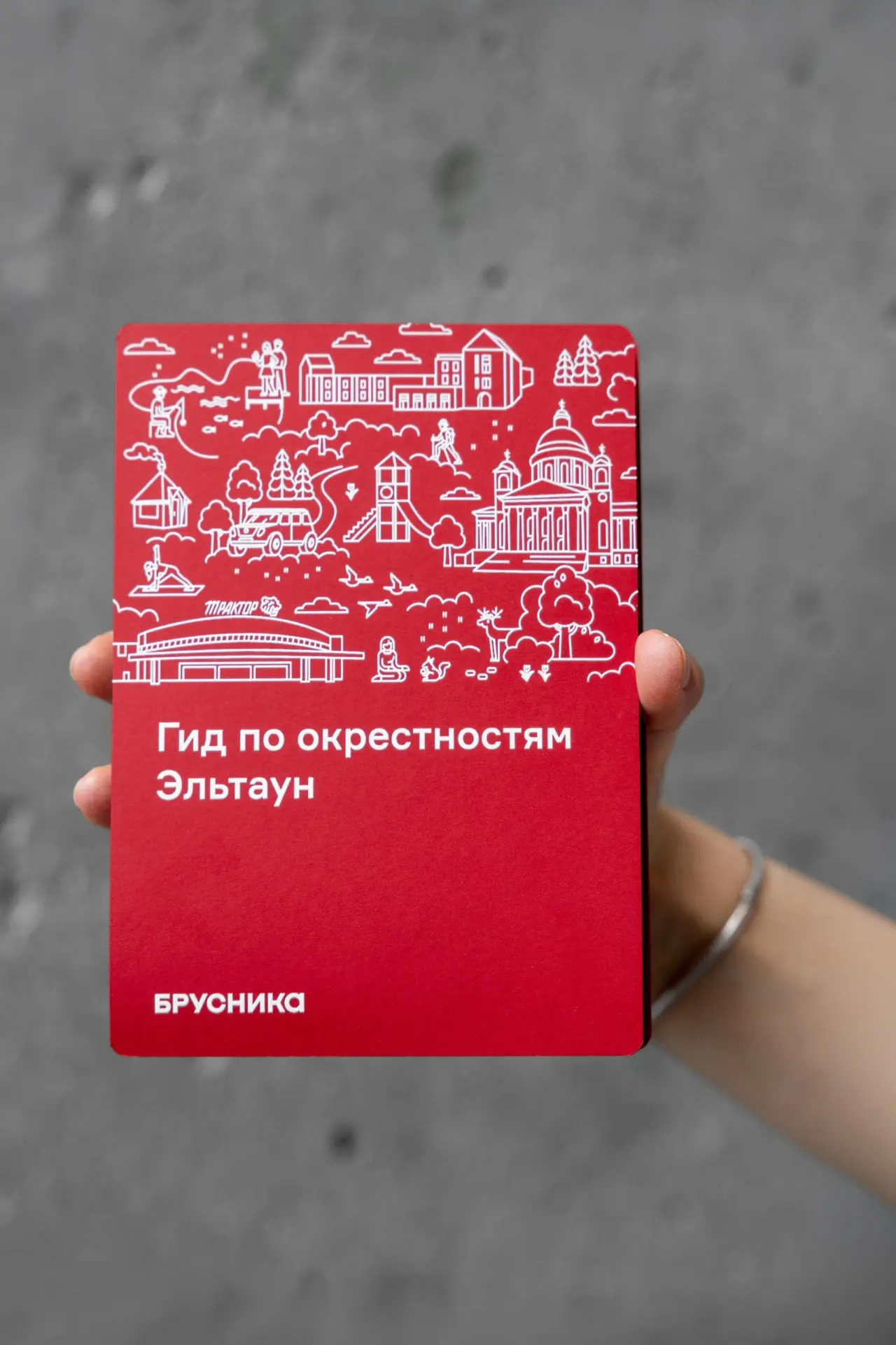 Тур де Франс (почти)