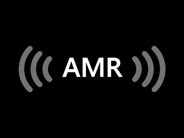 🔥 AMR Decoder v1.11 🔥