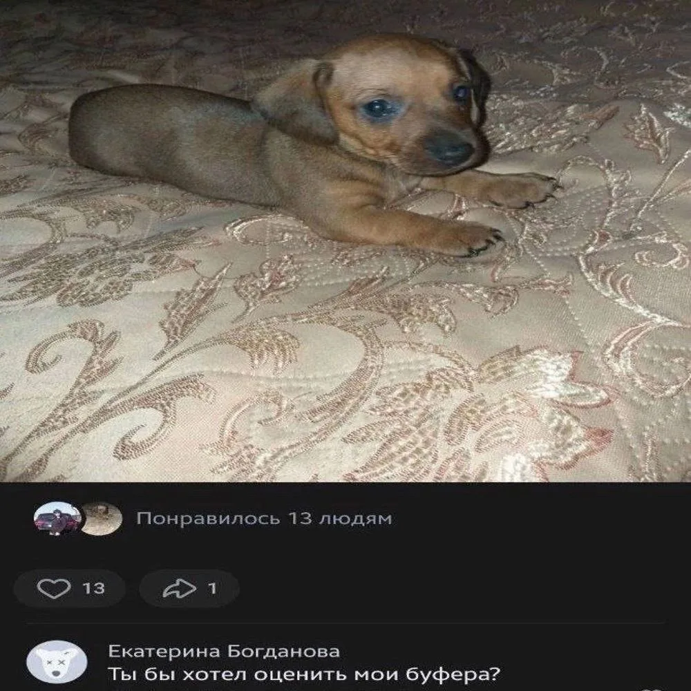 Картиночки от Фимочки