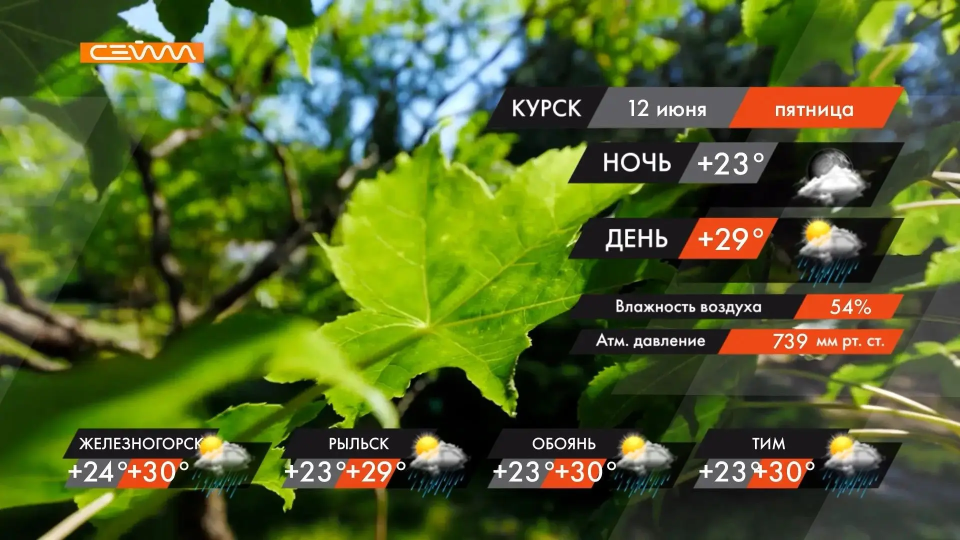 ⛈ Грозы, град и штормовой ветер обрушатся на Курскую область 12 июня