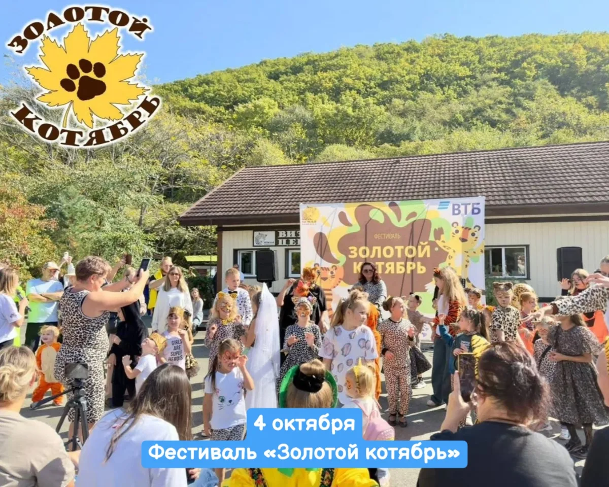 4 октября, воскресенье