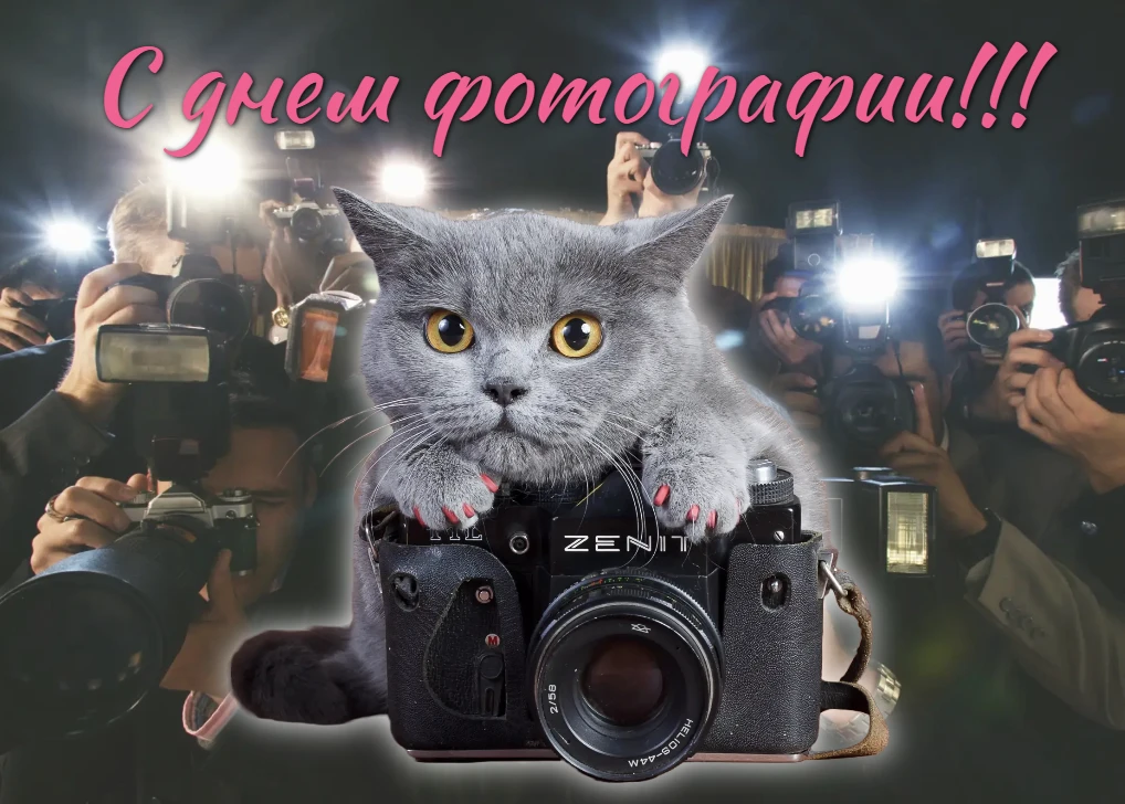 С Днем фотографии