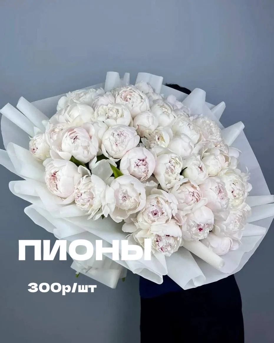 Пионы! Осторожно: вызывают зависимость⭐

Любимые цветы всех девушек..
↪️и да, у нас есть теория поче