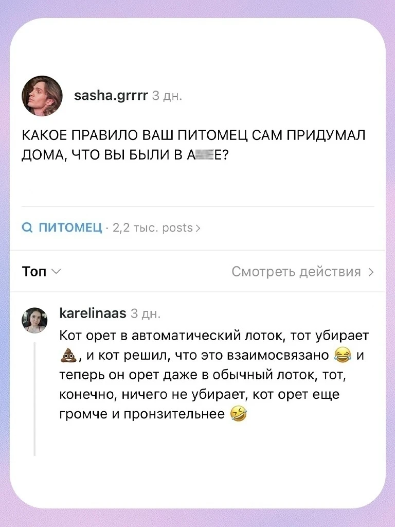 Вот за что мы так обожаем животных! 🤗