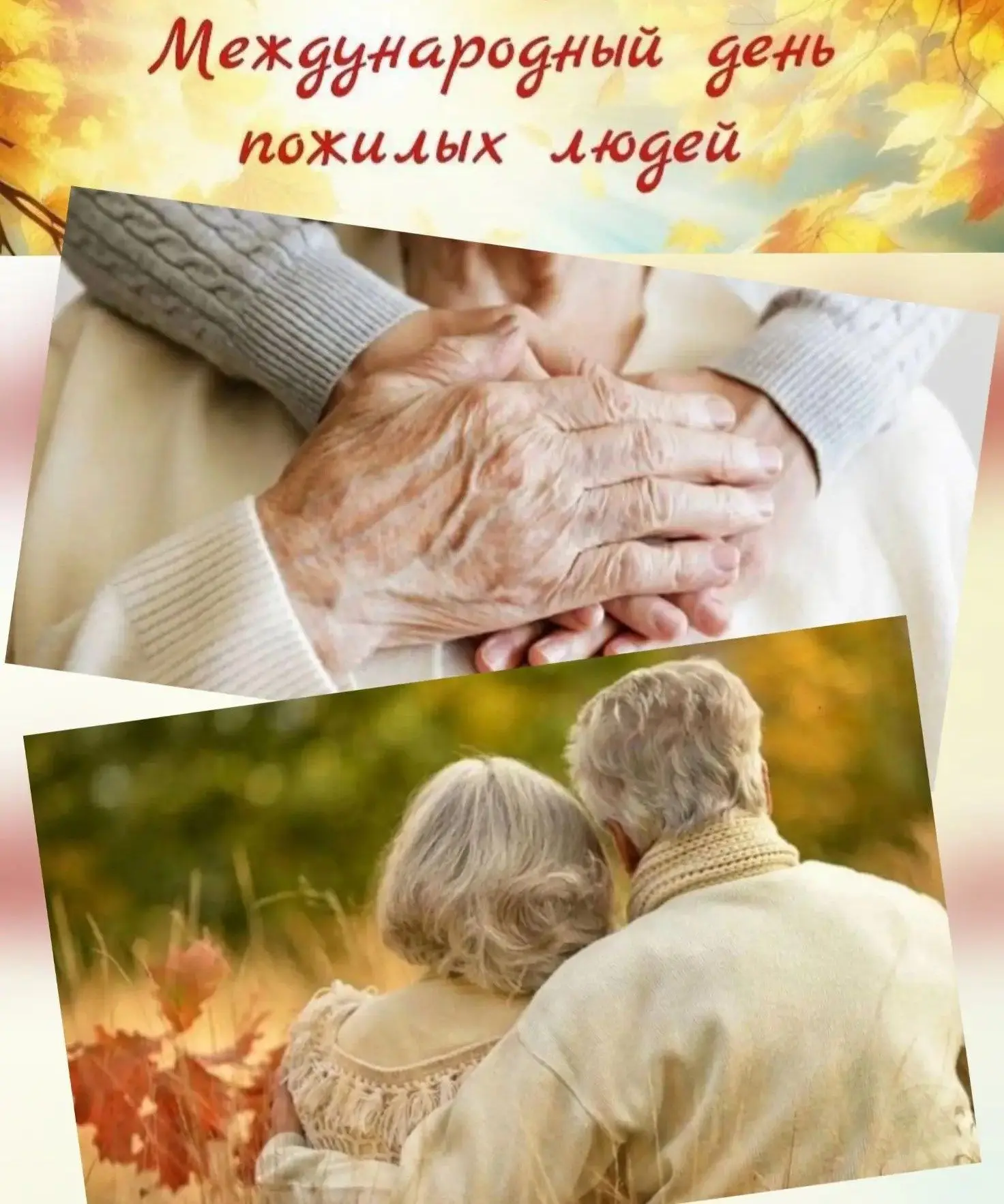 🍂 Уважаемые ветераны войны и труда, дорогие представители