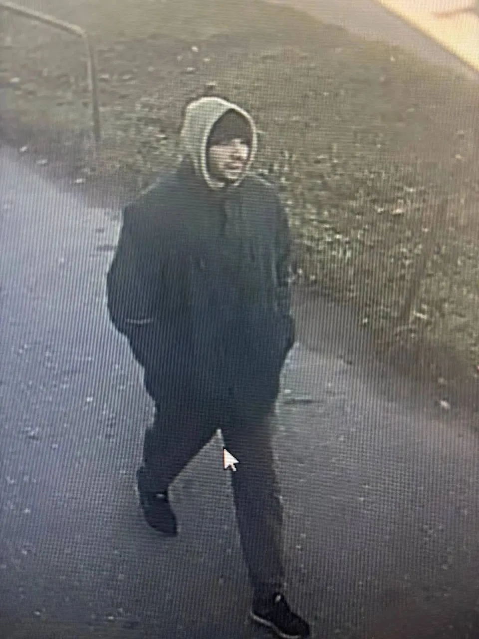 На Окуловой неизвестный напал на женщину