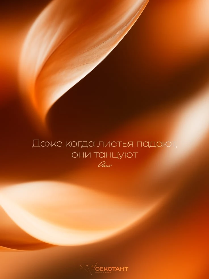 https://max.ru/invista123456