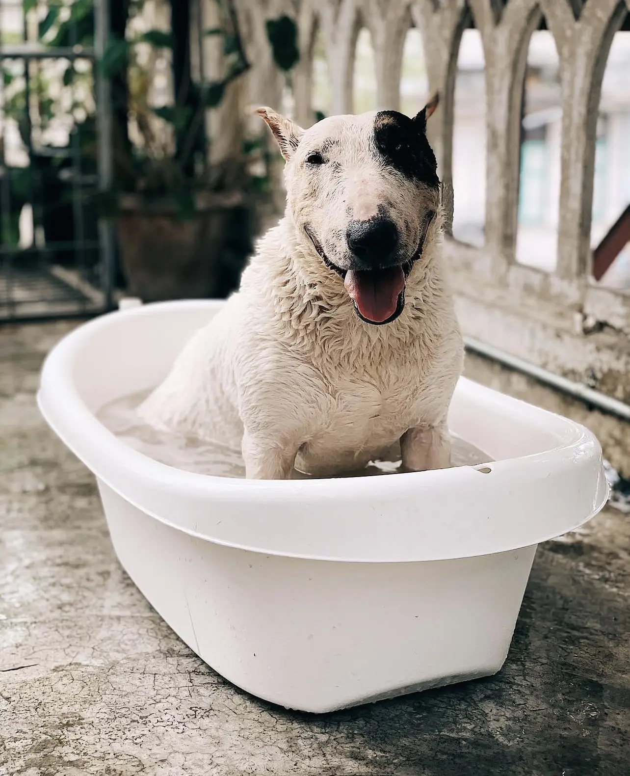 Международный день ванны 🛀 отмечается сегодня