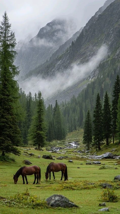 🏔ВСЕ КТО ДАВНО ХОТЕЛ НА АЛТАЙ, ВЕЛКОМ ! Экскурсионный тур на 10 дней среди гор, озёр и...