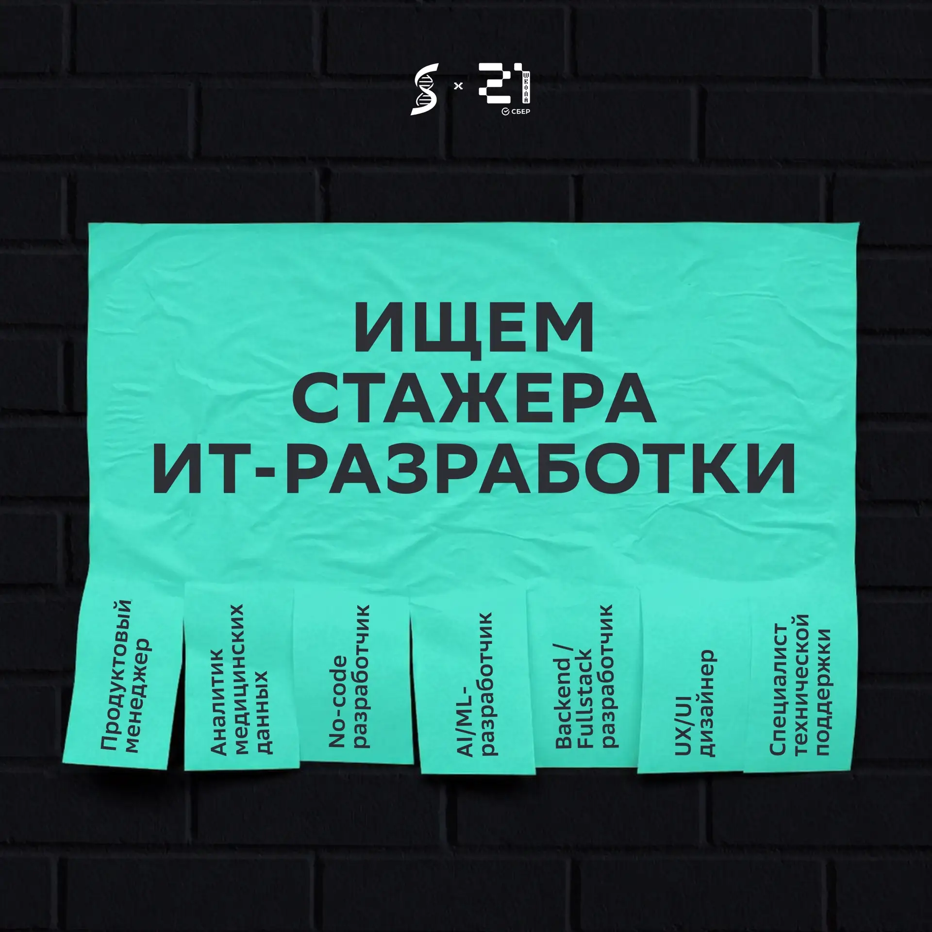 💻 СТАЖИРОВКИИИИИИИ